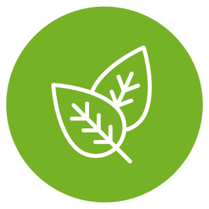 Heilpflanzen Symbol Kneipp Vorarlberg