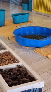 20231020_135552 20231020_135552