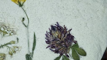 20231020_142119 20231020_142119