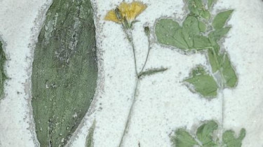 20231020_142155 20231020_142155