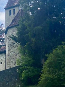 KAC-Altach-Wanderung-mit-Martina-Schuster-2024.05.22_14_20_44 KAC-Altach-Wanderung-mit-Martina-Schuster-2024.05.22_14_20_44