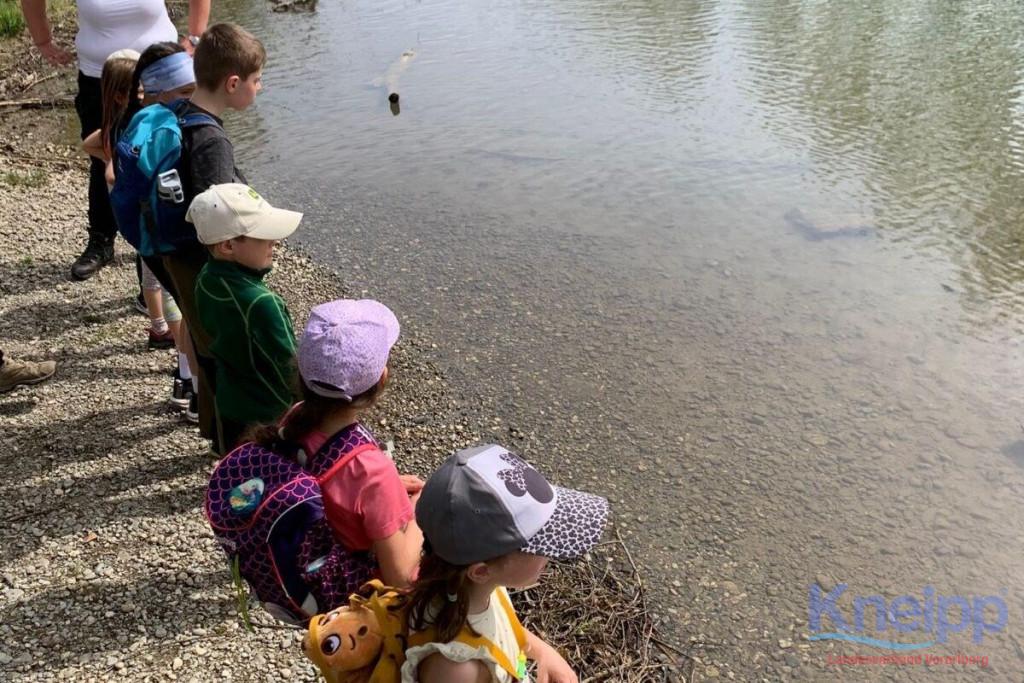 KAC-Dornbirn Biberparadies Rheinholz - Familienwanderung KAC-Dornbirn Biberparadies Rheinholz - Familienwanderung