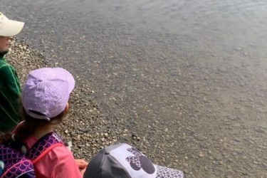 KAC-Dornbirn-Biberparadies-Rheinholz-01 KAC-Dornbirn-Biberparadies-Rheinholz-01