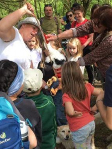 KAC-Dornbirn-Biberparadies-Rheinholz-03 KAC-Dornbirn-Biberparadies-Rheinholz-03