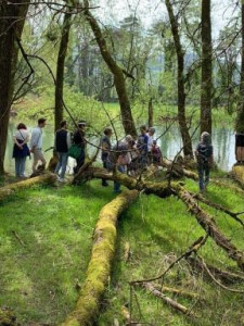 KAC-Dornbirn-Biberparadies-Rheinholz-04 KAC-Dornbirn-Biberparadies-Rheinholz-04