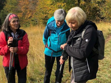 KAC-Schwarzach_Herbstwanderung_6 KAC-Schwarzach_Herbstwanderung_6